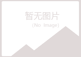 山东迎夏化学有限公司